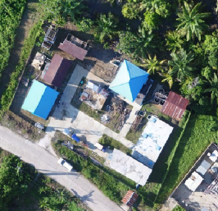 data umum kembang janggut